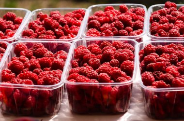 Ripe juicy raspberries in plastic containers on market stall. Fresh organic berries from ecofarm clipart