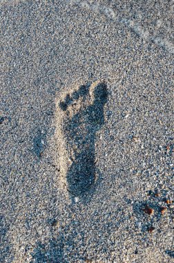 Kuma ayak izi. Islak deniz kumu üzerinde insan ayak izi. Deniz kenarında yalınayak ayak izi
