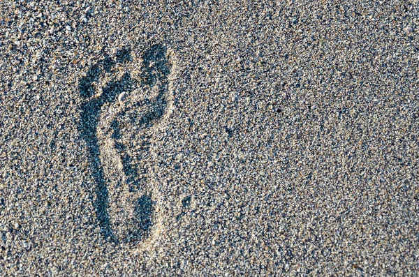 Footprint in the sand. Human footprint on the wet sea sand. Footprint barefoot on the sand by the sea. Copy space