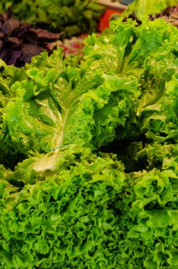 Market tezgahında taze organik marul. Sağlıklı yeme konsepti. Marul arka plan