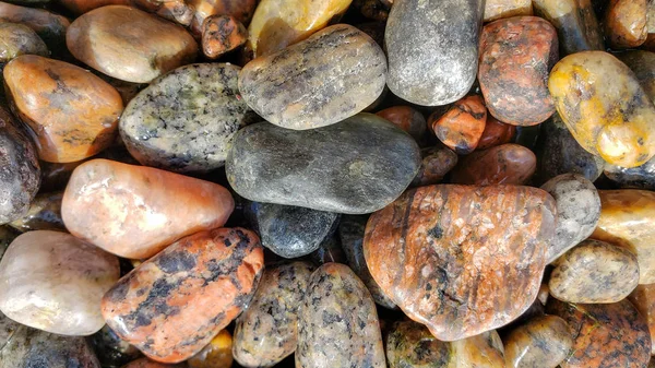 Pebble beach as background. Calm concept. Closeup of wet multicolored stones — Stock Photo, Image