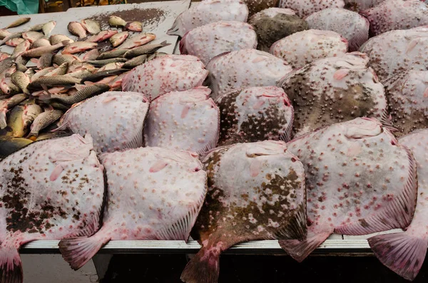Fresh raw fish at the market. Flounders, mirror carps, crucian carp are laid out on the counter for sale — Stock Image Fresh raw fish at the market. Flounders, mirror carps, crucian carp are laid out on the counter for sale Royalty Free Stock Photos