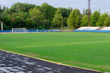 Futbol sahasında yeşil çimenler. Futbol stadyumu.