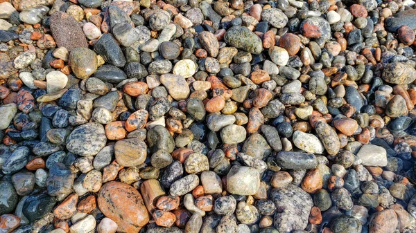 Kieselstrand als Hintergrund. Ruhiges Konzept. Nahaufnahme von feuchten bunten Steinen — Stockfoto