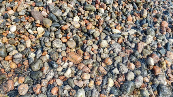 Spiaggia di ghiaia come sfondo. Concetto tranquillo. Primo piano di pietre multicolori bagnate — Foto Stock