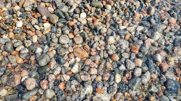 Spiaggia di ghiaia come sfondo. Concetto tranquillo. Primo piano di pietre multicolori bagnate — Foto Stock