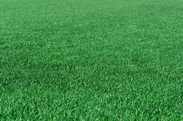 Yeşil çim arka plan, futbol sahasında suni çim. Açık havada
