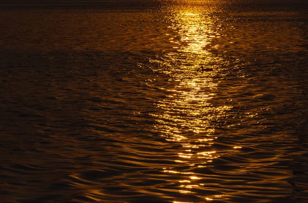 Belo pôr-do-sol sobre o rio. Um pato no caminho solar na superfície da água. Reflexão do pôr-do-sol — Fotografia de Stock