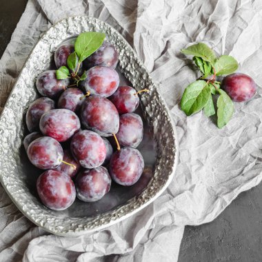 Metal bir vintage çanak taze organik erik. Olgun ve sulu meyvelerin natürmortu