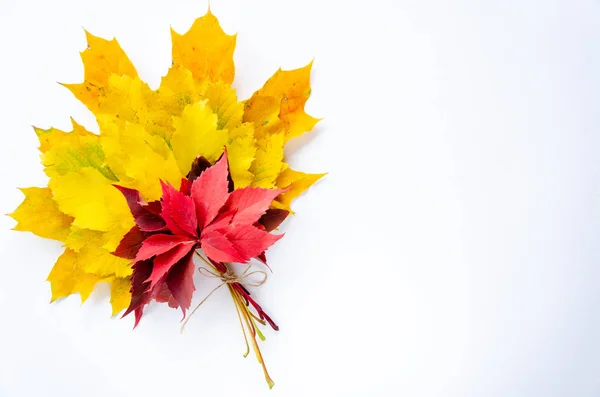 Herbstkomposition. Strauß leuchtend bunter Herbstblätter auf weißem Hintergrund. Herbstkokett. Kopierraum — Stockfoto
