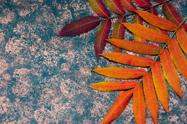 Hallo Herbstkonzept. Herbsthintergrund. Herbst bunte Blätter auf einem kupferfarbenen Hintergrund. Kopierraum. Ansicht von oben — Stockfoto