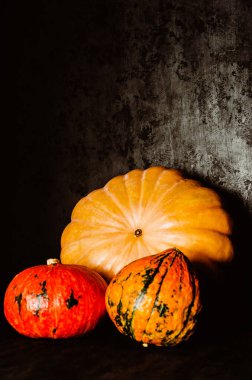 Siyah arka planda parlak balkabakları. Balkabağı mevsimi. Şükran Günü ya da Cadılar Bayramı. Uzayı kopyala Seçici odak