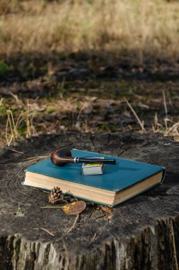 Bir kitap, sigara piposu ve bir kibrit kutusu sonbahar ormanında ya da parkta bir kütükte. Yakın çekim.