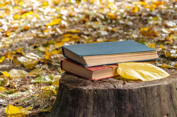 Books and yellow fallen leaf on a stump in the autumn forest or park. Weekend in the park in a sunny october day. Closeup
