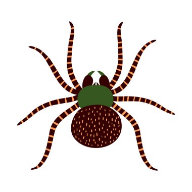 El çizimi beyaz arka planda izole edilmiş büyük örümcek. Korkunç eklembacaklıyı kapat. Sekiz bacaklı ürkünç hayvan. Gömlek ve kupa için yaratıcı tasarım. Ürkütücü Cadılar Bayramı süsü. Stok vektör illüstrasyonu