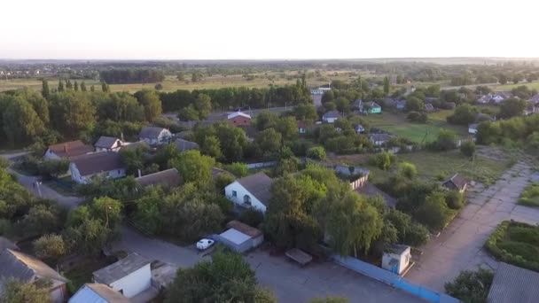 paysage avec rivière et arbres