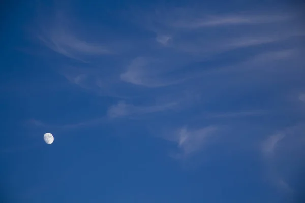 evening sky with the moon, background