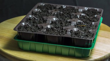 Plastik konteyner ile fidan için zemin. Fidan için.