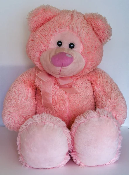 Urso rosa. Brinquedo suave. Em fundo branco-imagem — Fotografia de Stock