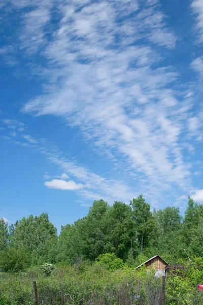 Ormanın yakınında, güzel bulutlarla yalnız ev