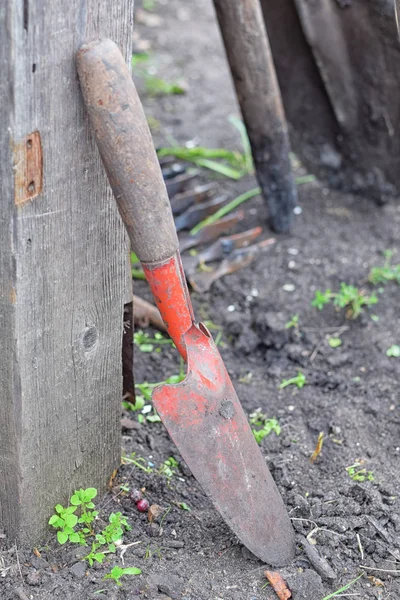 Malá lopatka pro zahradování s dřevěnou rukojetí — Stock fotografie