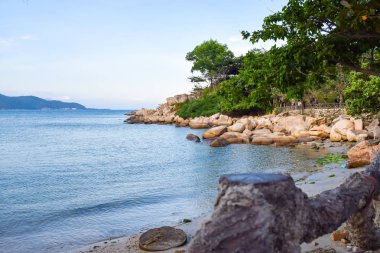 Tropik ağaçlar ile kıyıda bol taş ile terk edilmiş plaj