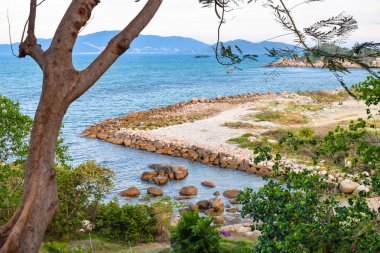 Çalılıklardan taşlarla terk edilmiş plaj manzarası