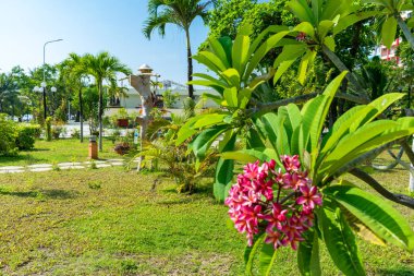 Pembe çiçek ve heykelli tropik ağaçlar parkta