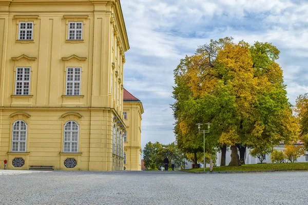 Пустая улица с мощеным камнем и красочным деревом и голубым небом в Вене Австрия осенью — стоковое фото