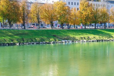 Sonbaharda Salzburg Avusturya'da renkli ağaçlar ile kıyı yeşil yansıması