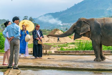 Dalat, Vietnam - 15 Nisan 2019: Turistler Dalat Vietnam arka planda dağ ile fil beslemek
