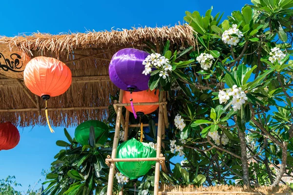 Beyaz çiçeklerile bir saz çatı altında Renkli Çin fener