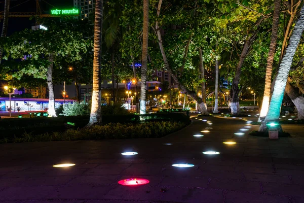 Освещённая тропа в парке между пальмами ночью — стоковое фото