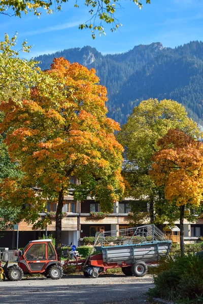 Alpler'de bir köyde turuncu yaprakları ile ağaç altında römork ile Traktör — Stok fotoğraf