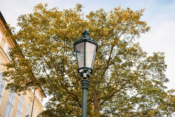 Lâmpada de rua velha e folhagem de árvore de outono de manhã — Fotografia de Stock