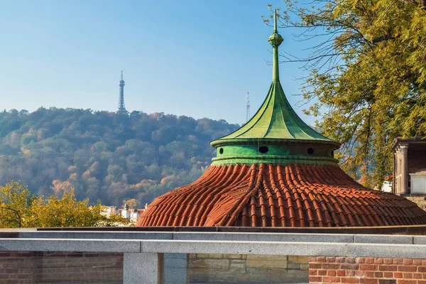 Tiled brown roof with green top with autumn tree on background — Stock Photo, Image