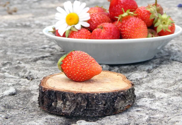 Large Red Strawberries Wooden Stand Concrete Juicy Ripe Strawberries White — Stock Photo, Image