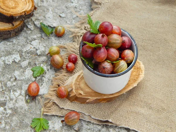 Gooseberry Merah Matang Dan Daun Terletak Cangkir Logam Putih Latar — Stok Foto