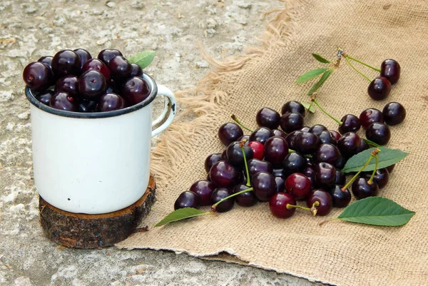 Montón Dulces Jugosas Cerezas Maduras Borgoña Con Ramitas Verdes Hojas —  Fotos de Stock