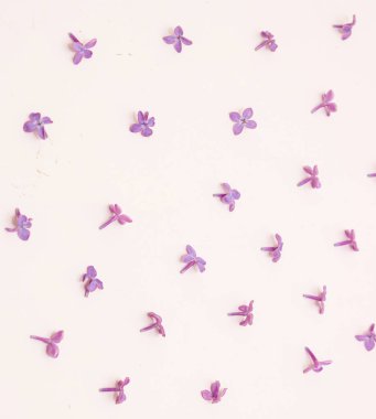 Beyaz arka planda leylak çiçekleri deseni