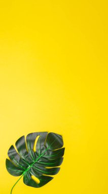 Yaz kavramı. Sarı arka planda yeşil yapraklar var. Düz konum, üst görünüm, kopyalama alanı