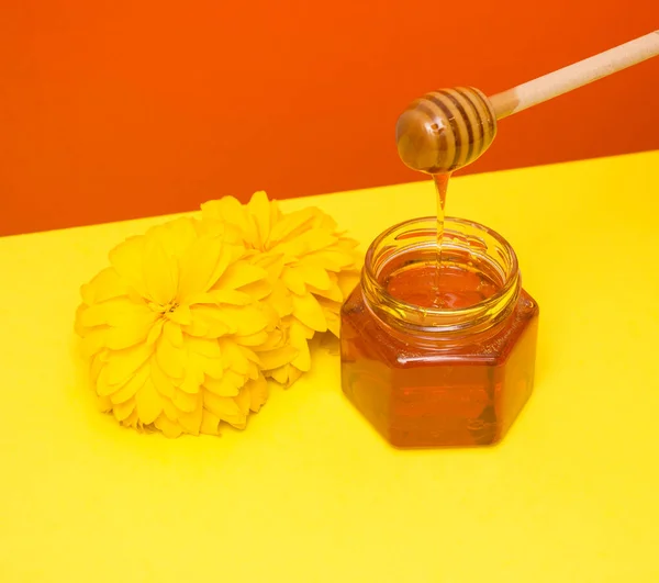Пчелиный Мед Капает Деревянной Лопатки Стеклянную Банку Цветок Желто Красный — стоковое фото