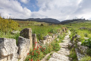Hierapolis antik kenti Pamukkale Türkiye