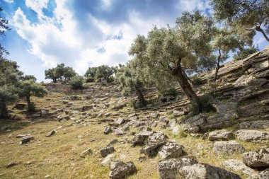 Alinda antik kentinin manzarası. Aydın