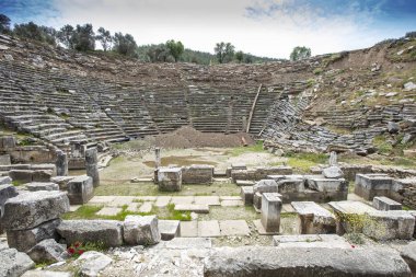 Stratonikeia antik kenti. Stratonikeia, Caria bölgesi 'nin içinde yer alan antik bir şehirdir. Bugünkü Eskihisar köyünde, Muğla Eyaleti, Türkiye 'de yer almaktadır.