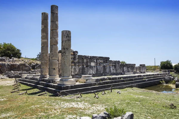 Letoon Letoum Oude Stad Column Van Oude Stad Van Letoon — Stockfoto