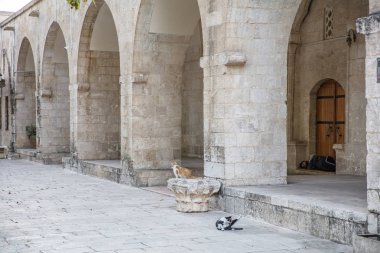 Balikligol, Sanliurfa / Türkiye. Balikligol Camii (Balık Gölü )