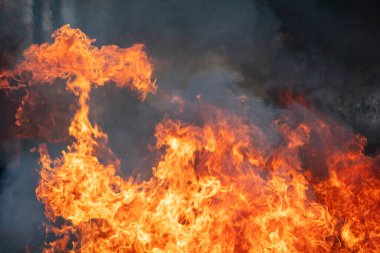 Yangın söndürücü ve su kullanan itfaiyeci, acil bir durumda yangın aleviyle mücadele eder. Tehlike anında bütün itfaiyeciler güvenlik için itfaiyeci kıyafeti giyer..