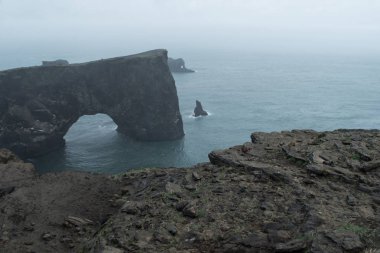 Dyrholaey 'de güzel görünüm