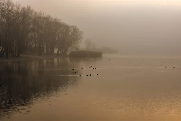 Mgła Nad Jeziorem — Zdjęcie stockowe